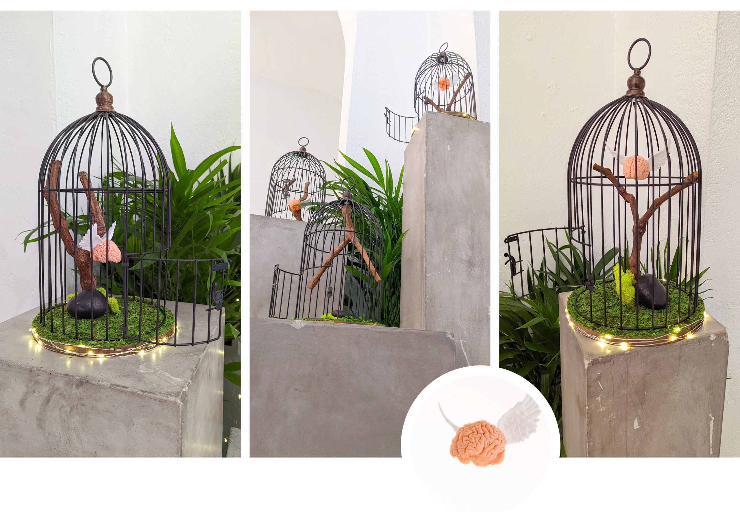 Matter of Choice, by Lannie Le